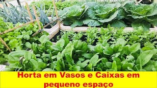 Horta em Vasos e caixas TOUR pela Horta do Ditian final de inverno verduras continuam exuberantes [upl. by Durarte]