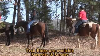 Fort Campbell Riding Stables MWRS7E51of2 [upl. by Noemis33]