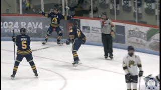 Woodstock Hockey Day U16 Game  Sarnia Jr Sting vs Woodstock Jr Navy Vets [upl. by Alberto]