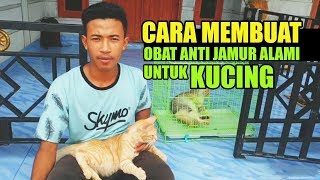 Cara Membuat Obat Anti Jamur Kucing Dari Bahan Alami [upl. by Mab]