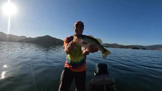 Lake Berryessa Bass Fishing 9 12 2023 [upl. by Adur527]