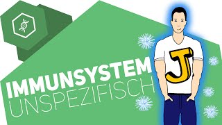 Unspezifische Immunabwehr  Immunsystem [upl. by Nawor176]