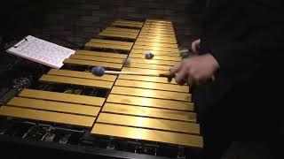 ALL THE THINGS YOU ARE【vibraphone solo live 2024】vibraphone jazz [upl. by Adnolehs]