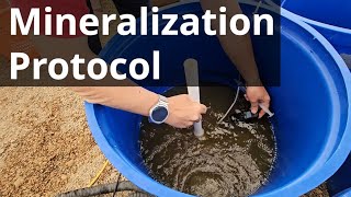 How I Set Up the Mineralization Experiment From the Beginning [upl. by Sidalg]