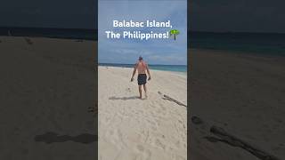 Discover Paradise Balabac Island 🌴 balabacisland Philippines dronefootage travel adventure [upl. by Isla]