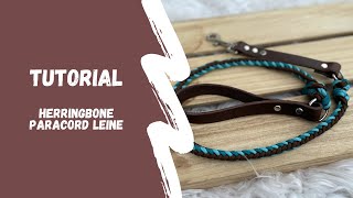 Herringbone Leine Anleitung  so knotest du eine Hundeleine aus Paracord  deutsch [upl. by Geof]