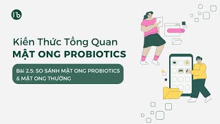 Cùng Chuyên Gia Hoàng Sơn Công So Sánh Mật Ong Probiotics Và Mật Ong Thường [upl. by Clay]