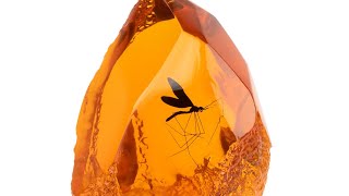 Jurassic Park Mosquito in Amber USB lamp by Grupo Erik [upl. by Nuajed]