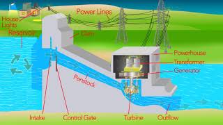 How a Hydro Electric Dam Works [upl. by Reifinnej573]