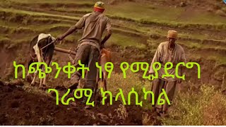 ከጭንቀት ነፃ የሚያወጣ ምርጥ ክላሲካል Best Ethiopian classical for meditation [upl. by Alejo64]