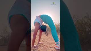 Standing Chakrasana yogaurmi shortvideo yogapose shorts ytshort urmiyogaacademy [upl. by Moir514]