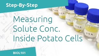 Determining Potato Osmolarity BIOL101  Diffusion amp Osmosis Lab [upl. by Eppesuig349]