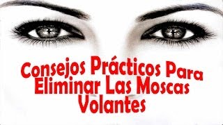 Como Eliminar Las Moscas Volantes  Consejos Prácticos y Sencillos [upl. by Jaynes]