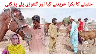 \\Sheeda Fradia  Akram Charsi DholaKali ButtSakhi SeaniFunnyVideo2024 [upl. by Ominorej]