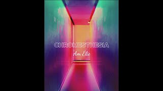 Am Élie  Chromesthesia Official Vertical Lyric Video [upl. by Nanreit975]