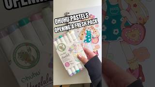 New Ohuhu pastel Marker pack [upl. by Mima621]