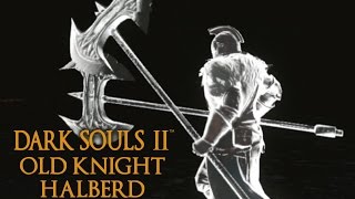 Dark Souls 2 Old Knight Halberd Tutorial dual wielding w power stance [upl. by Holub823]