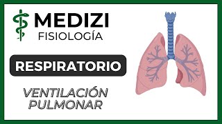 Clase 37 Fisiología Respiratoria  Ventilación Pulmonar IGdoctorpaiva [upl. by Aened]