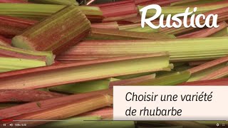 Choisir une variété de rhubarbe [upl. by Ordnagela]