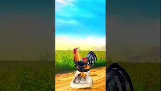 Halal Foods ☑️ islamicvideo shortvideo nature village farming animals birds [upl. by Otrebide705]