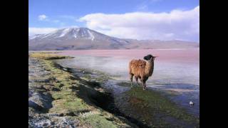 Andean traditional folk music  SurazoBolivia  Imillitay [upl. by Diad]