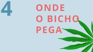 Drauzio Dichava 4  Onde o bicho pega [upl. by Annunciata]