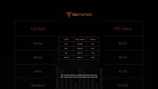 Forex lot sizes explained amp why they matter [upl. by Calvin958]