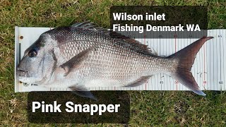 Wilson inlet Denmark Pink Snapper [upl. by Semyaj]