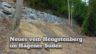 Hengstenberg Teil 2 Update nach 2 Monaten [upl. by Asillam]