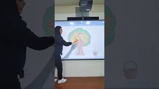 بتقنية التعليم المدمج درس الرياضيات لتلاميذ الصف الثاني الابتدائي Class A ودرس ترتيب الاعداد [upl. by Mcquoid]