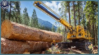 199 Incredible Fastest Big Chainsaw Cutting Tree Machines ▶15 [upl. by Nelleus]