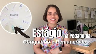 Quando posso entrar no estágio fazendo Pedagogia [upl. by Aenad587]