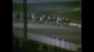 1982 Louisson Handicap  Addington Christchurch Hands Down [upl. by Duomham]