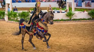 Scottsdale Arabian Horse Show  Native Costume Championship at Westworld [upl. by Beckett597]