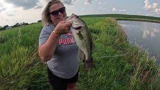 Large mouth bass catch clean cook I got out fished [upl. by Ahsemo]