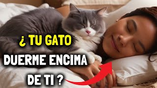 ¿Por qué mi gato DUERME ENCIMA DE MÍ [upl. by Suivat747]