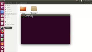 AnyDesk Install Ubuntu 1804 LTS Desktop [upl. by Tanny]