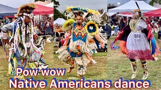 Amazing Native Americans pow wow dance [upl. by Yrovi851]