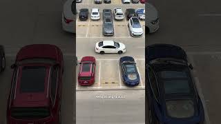 Tutorial on reversing into a parking space driving carsafety automobile cardriving [upl. by Helli]