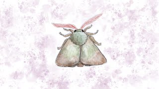 music for bugs  moth [upl. by Allerim29]