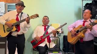 Gema Los Dandys  Trio Mexicano en Bay Area [upl. by Akired]