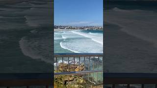 Bondi beach in Sydney bondibeach australia sydney beach walking [upl. by Clari544]