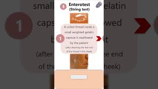 Enterotest String test  Giardia lamblia parasitology microbiology pathology protozoa neet [upl. by Terrene53]