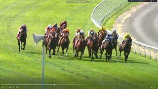 2022 New Zealand 2000 Guineas [upl. by Nilre144]