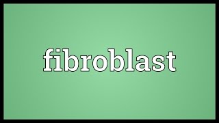 Fibroblast Meaning [upl. by Kent]