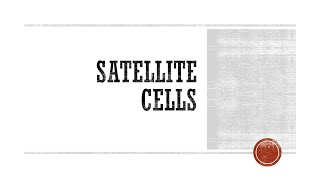 Satellite Cells [upl. by Rendrag555]