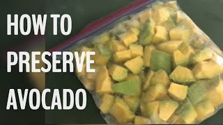 HOW TO PRESERVE AVOCADO [upl. by Senga]