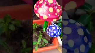 My all garden decor diy waste material shortvid eo garden [upl. by Malilliw]