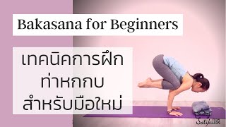 เทคนิคการฝึกท่าหกกบสำหรับมือใหม่  How to Bakasana for beginner [upl. by Eizus]