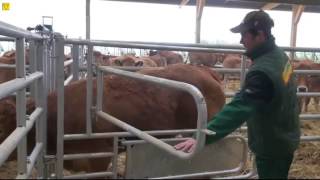 Teemore Engineering  EX5 Calving Gate  5 Bar Man Escape  5 Bar Creep Gate  5 Bar Drinker Bowl [upl. by Bohannon]